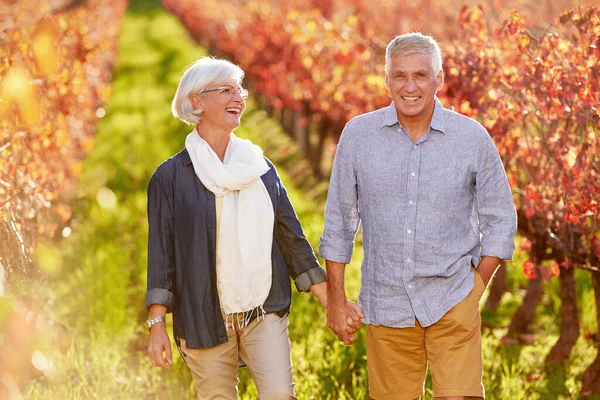 Hidup Dengan Vitalitas Pasangan Senior Tersenyum Berjalan Bergandengan Tangan Bersama — Stok Foto