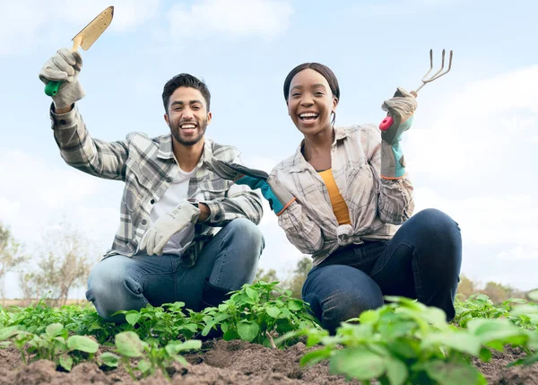 Excited couple, farmer and agriculture on farm for vegetation together in the countryside. Happy man and woman farmer with smile enjoying gardening for organic produce, harvest or plant growth.