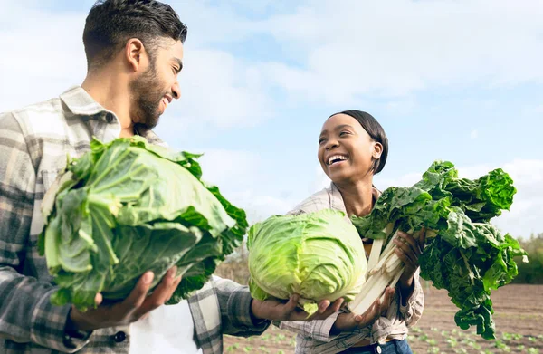 黑人夫妇 蔬菜和快乐的耕作 收获或农业在大自然中一起吃饭 具有农业团队合作 微笑或健康 营养或饮食可持续性的男人 黑人妇女和农场 — 图库照片
