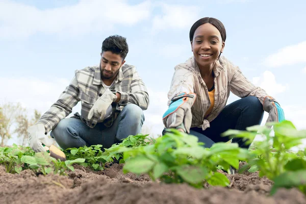 Bauern Pflanzen Gemüse Und Lächeln Für Wachstum Gemeinschaftsgarten Und Grüne — Stockfoto