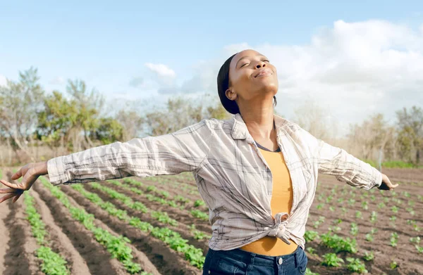 Çiftçi Özgürlük Kadın Hasat Öncesi Tarlada Ekinlerde Kaygısız Neşeli Hissediyorlar — Stok fotoğraf