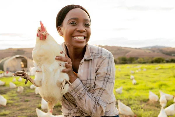 Chicken, farmer and smile in animal farming, agriculture and startup business outdoor in South Africa. Portrait, black woman and happy while working with animals on poultry farm with countryside life.