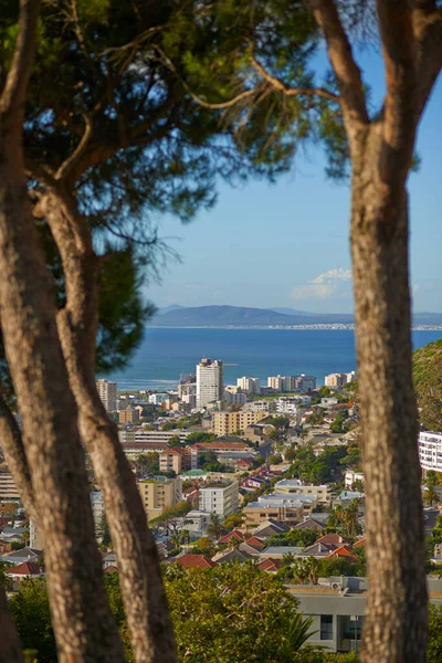 Bu şehir canlı. Güzel Deniz Noktası, Cape Town, Güney Afrika