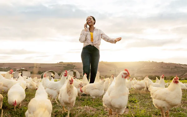 Frango Agricultor Mulher Negra Com Smartphone Telefonema Para Negócio Criação — Fotografia de Stock