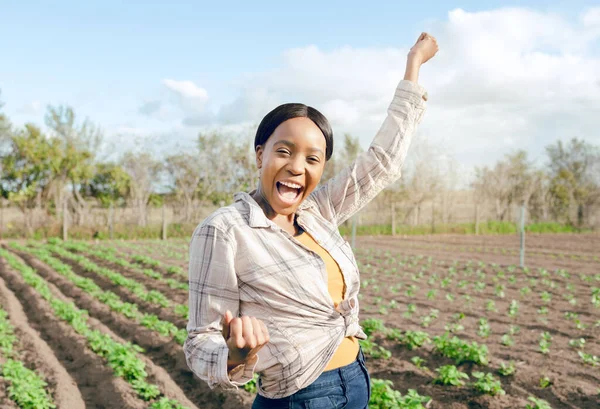 黑人女农民在农场比赛中的胜利 成功和形象 在南非农村快乐的农家姑娘激动 庆祝和胜利的拳头 — 图库照片