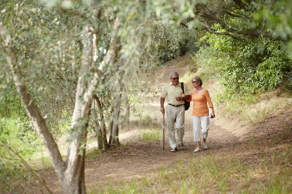 stock image Out and about in nature. A senior couple walking together along a forest trail