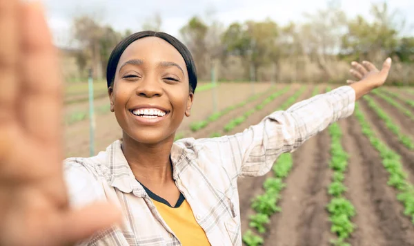 Agricultura Mulher Selfie Para Vegetais Crescimento Plantas Colheita Qualidade Para — Fotografia de Stock