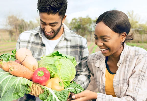Landwirtschaft Landwirtschaft Und Team Von Bauern Mit Gemüse Zufrieden Mit — Stockfoto