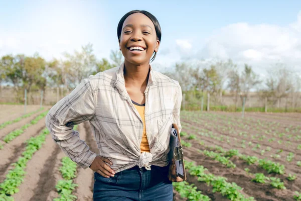 Inspekce Farmaření Černošky Kontrolují Zemědělství Potraviny Rostliny Farmě Udržitelnost Ekologie — Stock fotografie