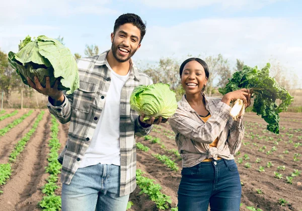 Çiftçilik Hasat Kendi Sürdürülebilir Tarım Tarım Çiftliklerinden Sebzeli Irklar Arası — Stok fotoğraf