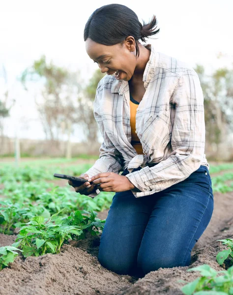 Fazenda Telefone Foto Com Uma Agricultora Tirando Uma Foto Suas — Fotografia de Stock