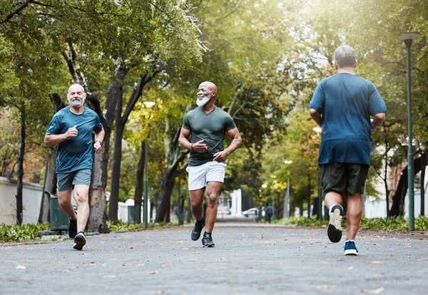 Fitness, health and senior men running in nature on garden path with trees. Friendship, training and mature runner and black man friend workout together in summer, motivation for healthy lifestyle