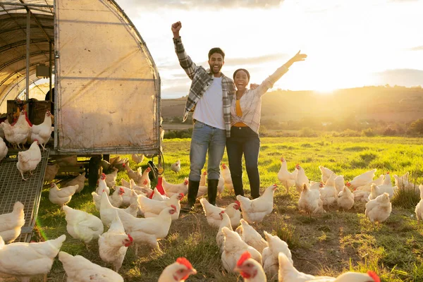 Emocionado Sucesso Casal Uma Fazenda Com Frango Para Sustentabilidade Agricultura — Fotografia de Stock