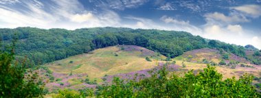 Doğanın güzelliği. Doğanın güzelliği - Rebild Ulusal Parkı, Jutland, Danimarka,