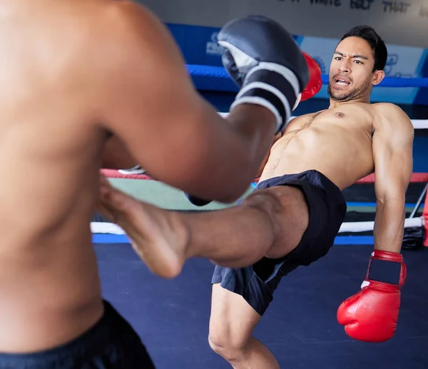 Premium Photo  Mma muay thai and fight with a boxing coach and training  for health fitness and sport exercise in a ring at the gym workout sports  and cardio in a