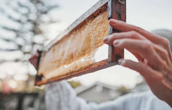 Ruce Plástve Farma Včelařkou Pracující Venkově Produkci Medu Potraviny Rámy — Stock fotografie