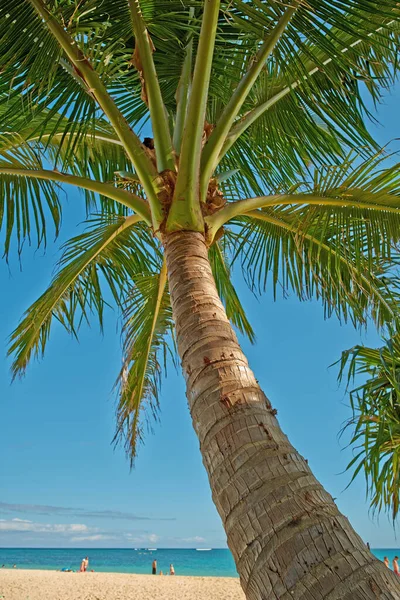 ビーチ オアフ島 ハワイ島 ハワイ オアフ島 ラニカイビーチの写真 — ストック写真