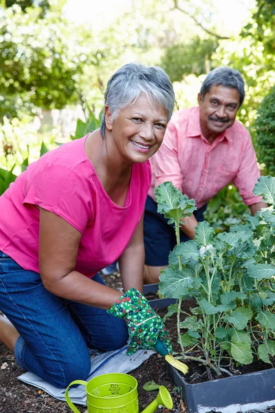 Cultivando Buena Vida Una Feliz Pareja Ancianos Jardinería Juntos Patio — Foto de Stock