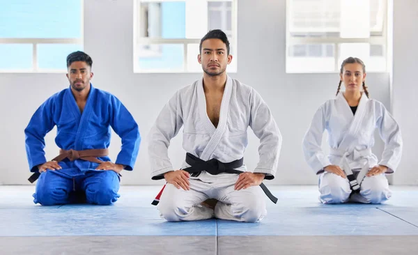 Portrait, training and karate group with coach in dojo ready for exercise or workout. Taekwondo, martial arts or group of students kneeling with teacher preparing for fight, match or fitness practice.