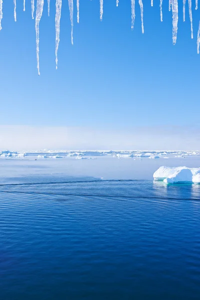 Nature Ilulissat Grönland Természet Körül Város Ilulissat Grönland — Stock Fotó