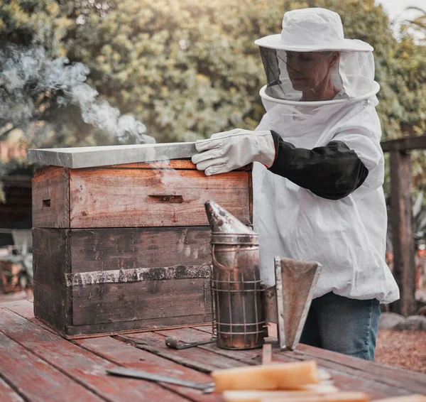 Box Včelař Zemědělský Podnik Zemědělská Inspekce Medu Plástů Medonosných Včelích — Stock fotografie