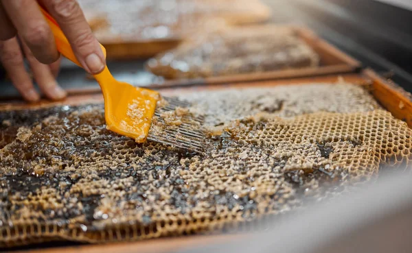 Honey, frame and closeup of scrape tools for bee farming, agriculture or food in beekeeping production. Beekeeper, honeycomb and apiculture worker with uncapping fork, natural product or work at farm.