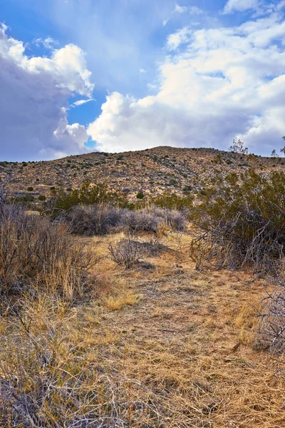 Καλιφόρνια Έρημο Anza Borrego Anza Borrego Desert State Park Νότια — Φωτογραφία Αρχείου