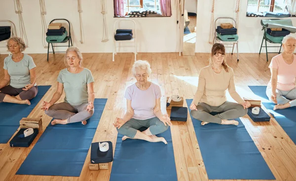 Elderly woman, yoga and meditation for spiritual health, wellness or calm zen relaxation exercise in the studio. Senior women relaxing in yoga class and meditating for healthy fitness, mind and body.