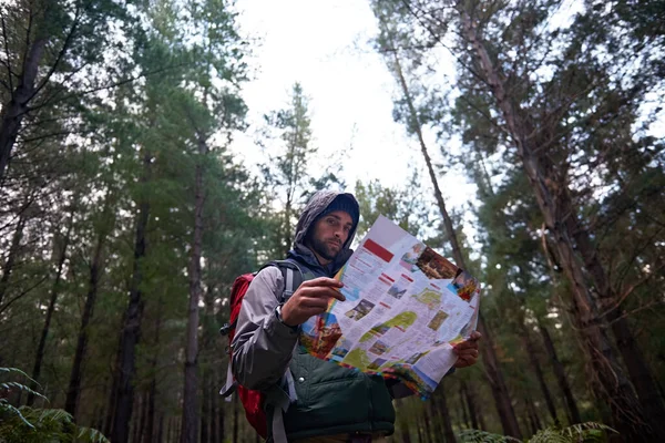 恢复你的感官方向 一个在松林里拿着地图的人 知道他的方向 — 图库照片