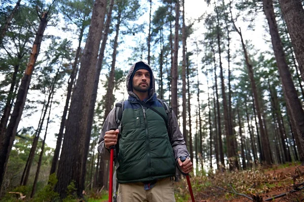 继续走一个英俊的男人在松树林中用北方的手杖登山 — 图库照片