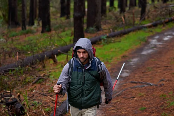 北欧人在自然的荒野中散步 一个英俊的男人在松树林中用北方的手杖登山 — 图库照片