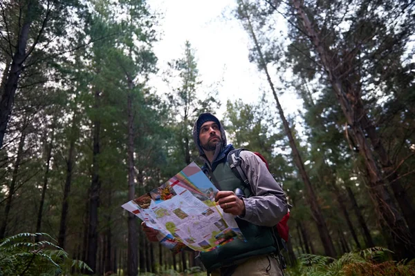 到外面去探险一个在松林里拿着地图的人 知道他的方向 — 图库照片