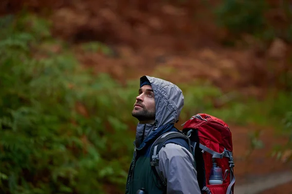 停下来听听鸟儿的声音 在森林里徒步旅行时背着背包的年轻人的画像 — 图库照片