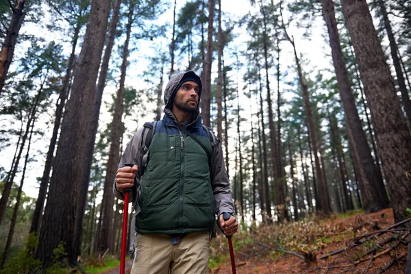 沿着小径走下去一个英俊的男人在松树林中用北方的手杖登山 — 图库照片