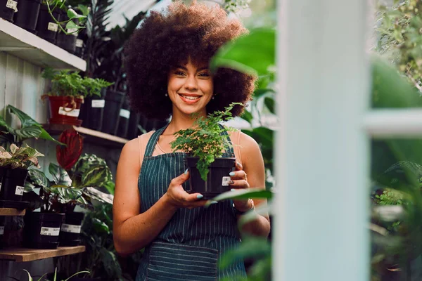 园艺或苗圃中的植物 初创企业和小企业主或黑人妇女 带着生态 温室或销售的微笑 为园艺 零售商店和环境目的种植绿色植物的女性 — 图库照片