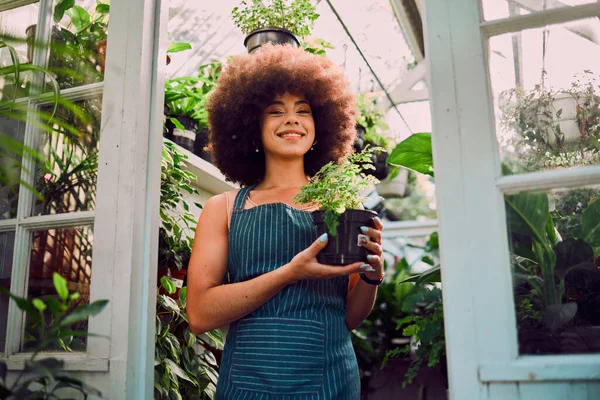 Plant, growth and portrait of black woman in greenhouse for environment, agriculture and florist in small business. Sustainability, spring and garden with girl in nursery for herbs, organic and farm.