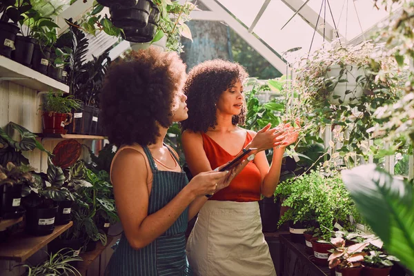在温室中讨论的妇女 石板和植物 供夏季分析 耕作或生长时使用 黑人妇女 园艺初创者或为植物健康 农场或可持续性而一起交谈 — 图库照片
