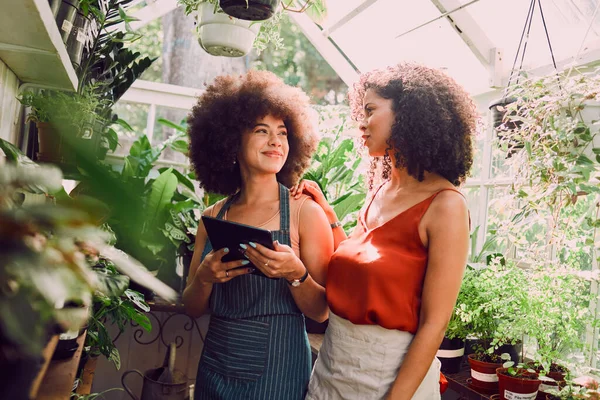 Greenhouse, tablet and plants of black woman with teamwork, collaboration and progress communication for green shop inventory. Agriculture, garden and small business owner people with management tech.