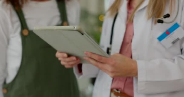 데이터 태블릿 의사들 리뷰를 계획하고 컨설팅하거나 검색하는 병원에서의 인터넷 간호사 — 비디오