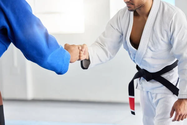 Karate Bojový Turnaj Mužská Pěst Narážejí Soutěži Bojových Umění Pro — Stock fotografie