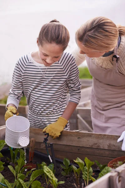 A little water for a green life. a mother and daughter gardening together in their backyard