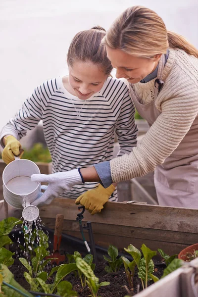 Több Mint Egy Hobbi Anya Lánya Együtt Kertészkedik Kertjükben — Stock Fotó