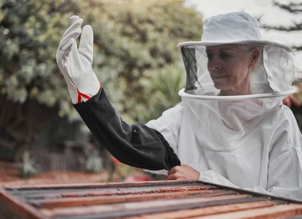 Φάρμα Γεωργία Και Μέλι Μια Μελισσοκόμος Που Εργάζεται Εξωτερικούς Χώρους — Φωτογραφία Αρχείου