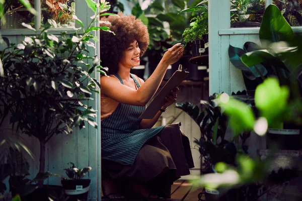 Γυναίκα Επιχειρηματίας Λίστα Ελέγχου Και Φυτά Κατάστημα Ελέγξτε Φυτά Και — Φωτογραφία Αρχείου