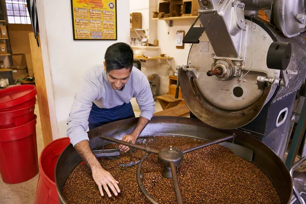Verificar Assado Dele Jovem Que Trabalha Com Grãos Café Crus — Fotografia de Stock