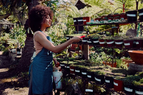 Black woman, garden and spray pesticide for plants, vegetation and against bugs outdoor. Ecofriendly, African American girl and female gardener use liquid to remove harmful species and protect growth.