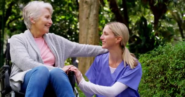 障害者 車椅子 公園看護師 老人ホームケアのための高齢者の女性 支援と肖像画の助け 庭での医療 高齢者の愛と医療 高齢者介護者や高齢者の女性の信頼 — ストック動画