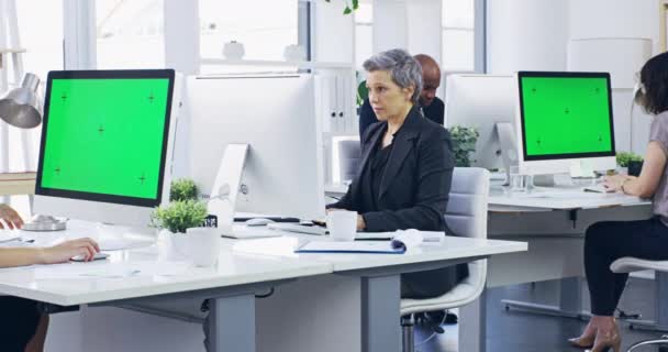 Υπολογιστής Πράσινη Οθόνη Και Chroma Κλειδί Επιχειρηματίες Στο Γραφείο Για — Αρχείο Βίντεο