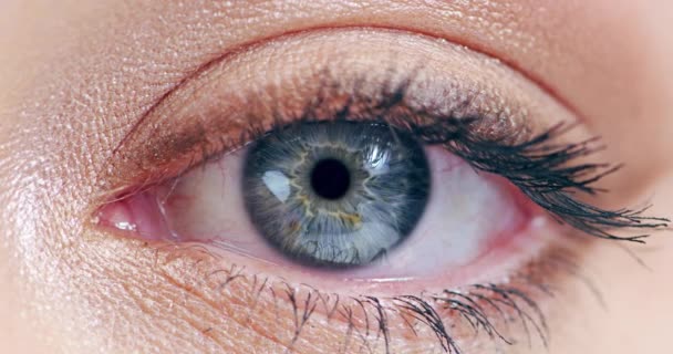 生体認証における顔認識のためのズーム焦点での監視 女性のビジョンと反射の目 人間の眼球解剖学 技術革新とまつげのレンズビューのサイバーセキュリティ — ストック動画