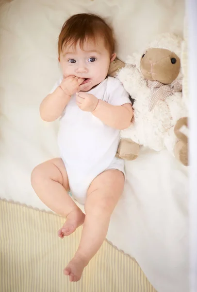 All Need Best Friend Teddy High Angle Shot Adorable Baby — Stock Photo, Image